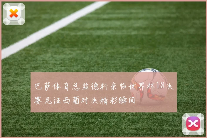 巴萨体育总监德科亲临世界杯18决赛见证西葡对决精彩瞬间